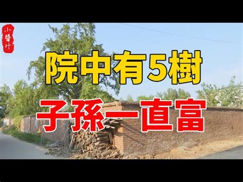 住家種樹|風水大師：家中要種就種這些樹，能改善家中風水，帶。